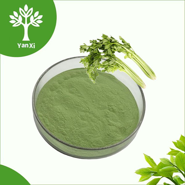 Celery Powder Bulk Celery Powder Bulk
